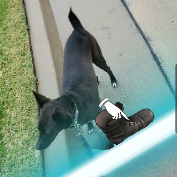 Meet your Posher, Randi - Picture 1 of 1